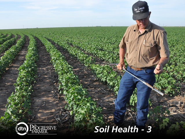 The soil is a living thing. Testing to improve its biology is an important tool. (DTN photo by Todd Neely)